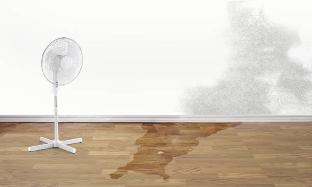 Ham Lake, MN Water damage restoration Company