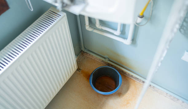 Best Local water damage restoration  in Ham Lake, MN
