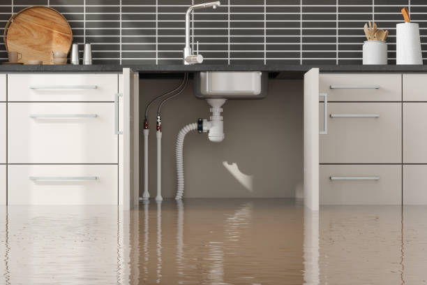 Best Water damage restoration insurance claims  in Ham Lake, MN